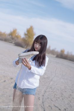 凤归四时歌